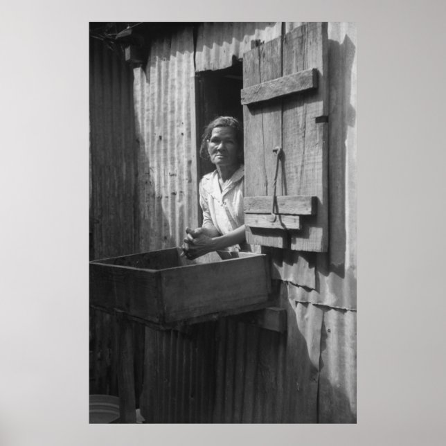 Impressão de Administração de segurança da Fazenda (Frente)