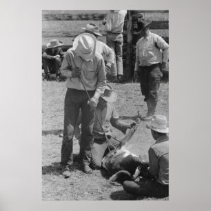 Impressão de Administração de segurança da Fazenda