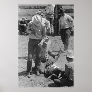 Impressão de Administração de segurança da Fazenda