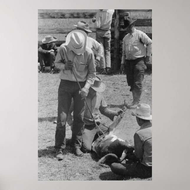 Impressão de Administração de segurança da Fazenda (Frente)