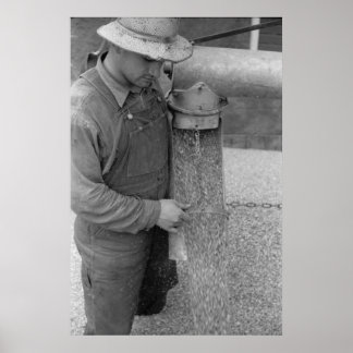 Impressão de Administração de segurança da Fazenda