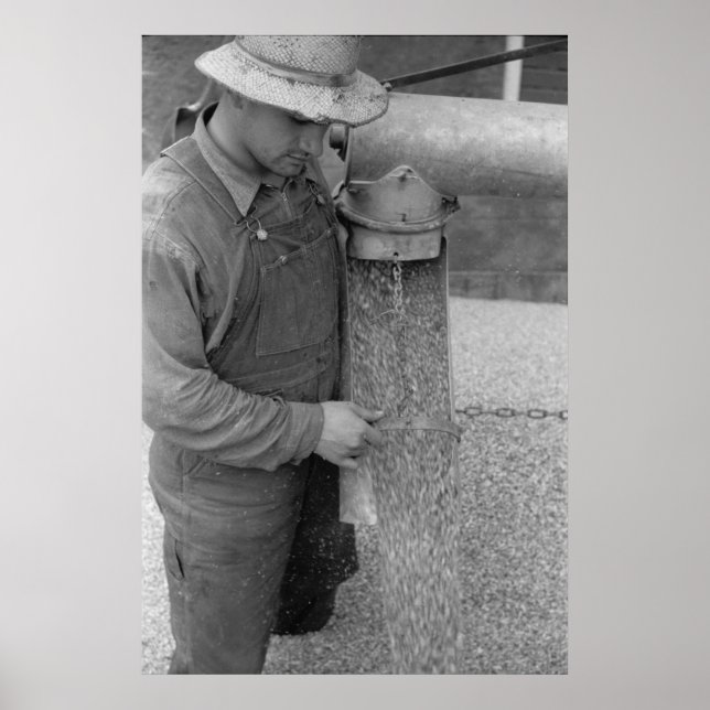 Impressão de Administração de segurança da Fazenda (Frente)