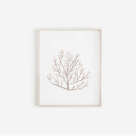 Impressão de algas marinhas aquáticas