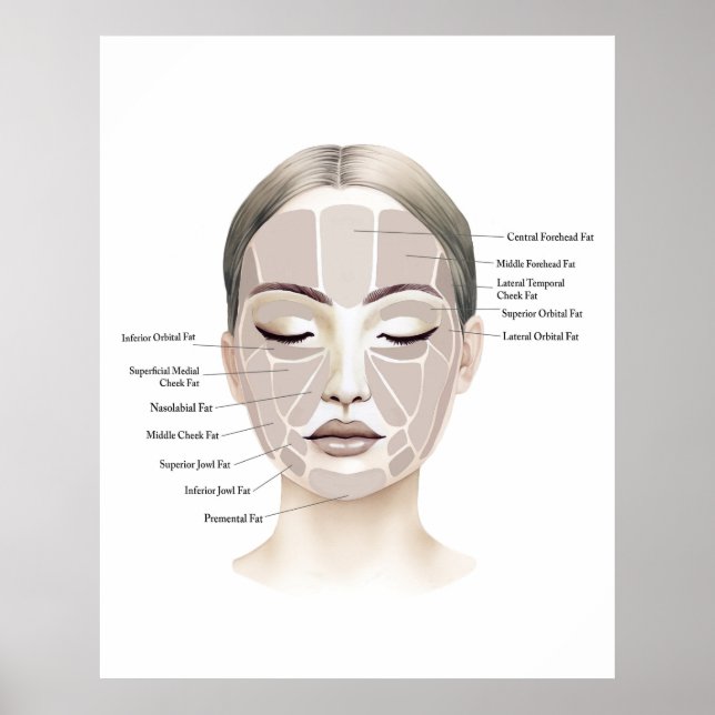 Impressão de Anatomia Facial 1  (Frente)
