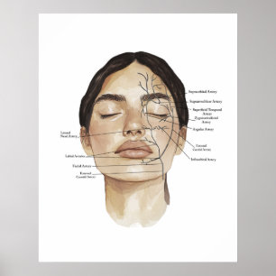 Impressão de Anatomia Facial 3
