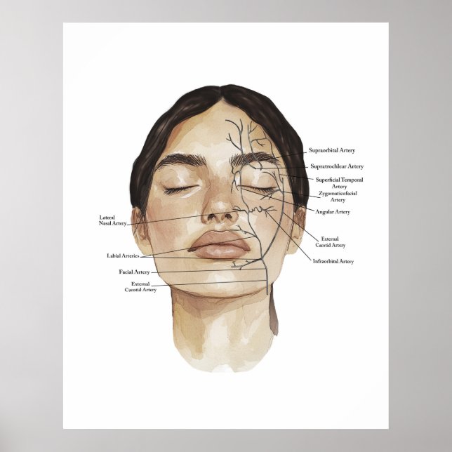 Impressão de Anatomia Facial 3 (Frente)