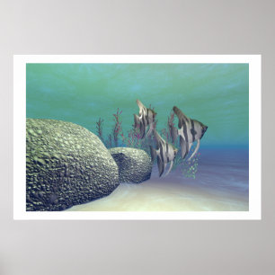 IMPRESSÃO DE ANEL FISH