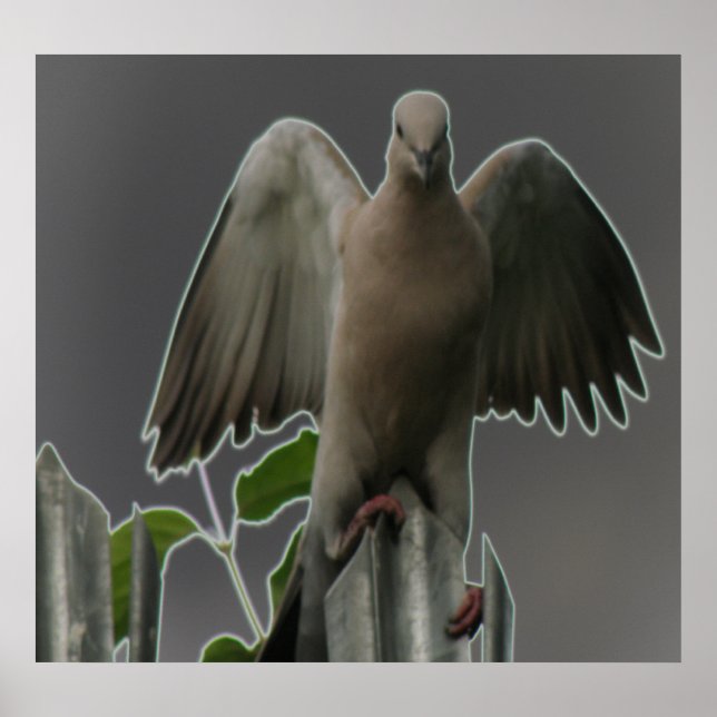 Impressão de Anjo de Fallen (Frente)