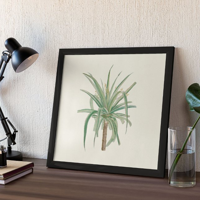 Impressão de Aquarela Antiquada (Watercolor Antique Botanical Cactus Print Poster)