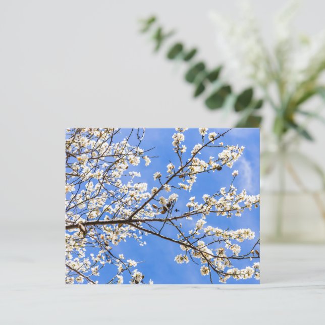 Impressão de Aquarela de Ramificação de Flor - Art (Em pé/Frente)