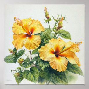 Impressão de Arte Amarelo do Flor Hibiscus
