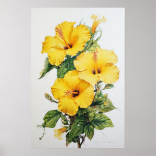 Impressão de Arte Amarelo do Flor Hibiscus