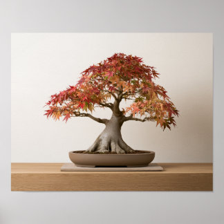 Impressão de Arte Bonsai de Ácer Japonês de Outono