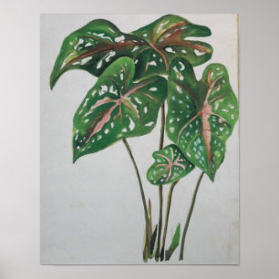 Impressão de Arte Botânica de Parede Folha Verde