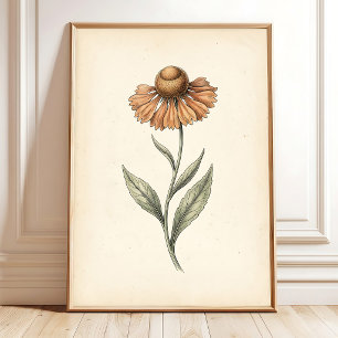 Impressão de Arte Botânica de Sneezeweed Vintage