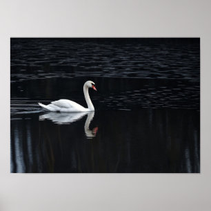 Impressão de Arte Cisne Geométrica no Lago Escuro