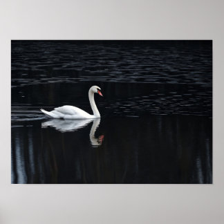 Impressão de Arte Cisne Geométrica no Lago Escuro