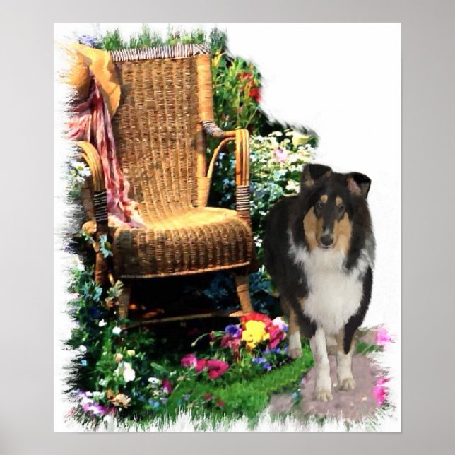 Impressão de Arte Collie Rough com Três Cores (Frente)