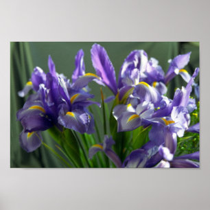 Impressão de Arte com Flor em Íris Roxo
