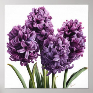 Impressão de Arte com Flor Roxo Hyacinth
