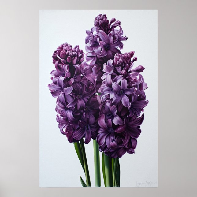 Impressão de Arte com Flor Roxo Hyacinth (Frente)