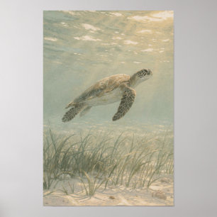 Impressão de Arte Costeira e Oceânica de Tartaruga