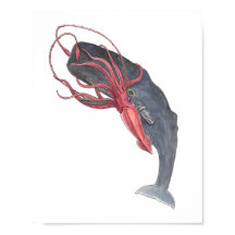 Impressão de Arte de Aquarela Lula e Baleia