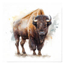 Impressão de Arte de Buffalo Ocidental