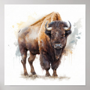 Impressão de Arte de Buffalo Ocidental