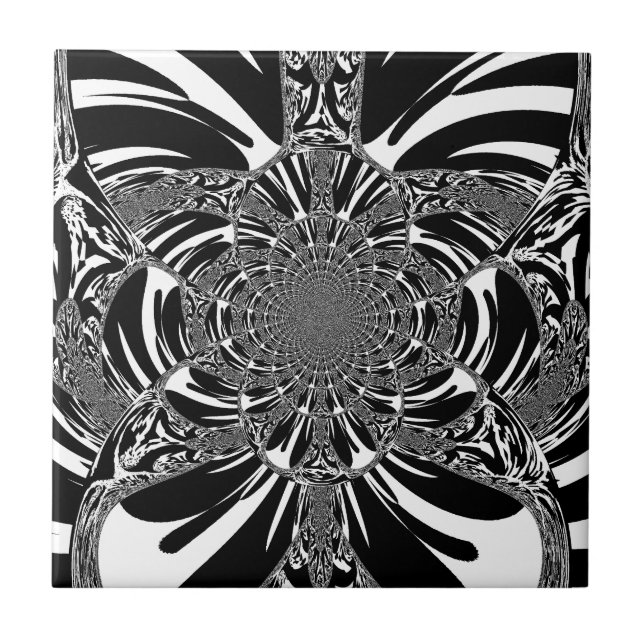 Impressão de Arte de Caleidoscópio de Zebra Circul (Frente)