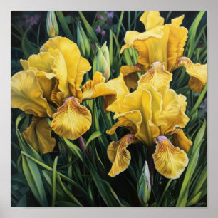Impressão de Arte de Flor de Íris Amarela Poster