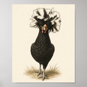Impressão de Arte de Galinha Polonesa, Ki de Casa