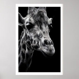 Impressão de Arte de Girafa Fotografia Monocromáti