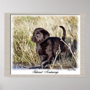 Impressão de Arte de Labrador de Chocolate