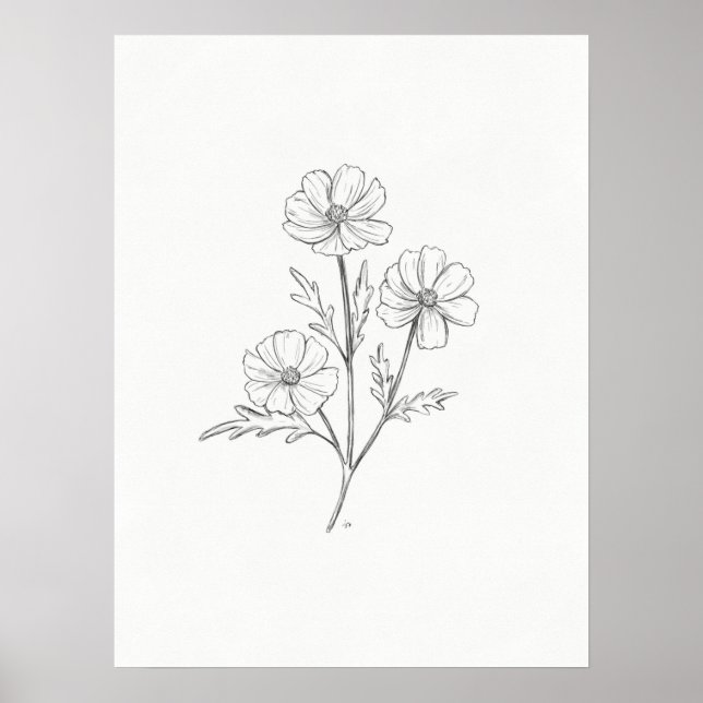 Impressão de Arte de Lápis Cosmo (Frente)