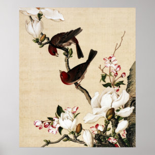 Impressão de Arte de Magnólia Branca Vintage e Pás