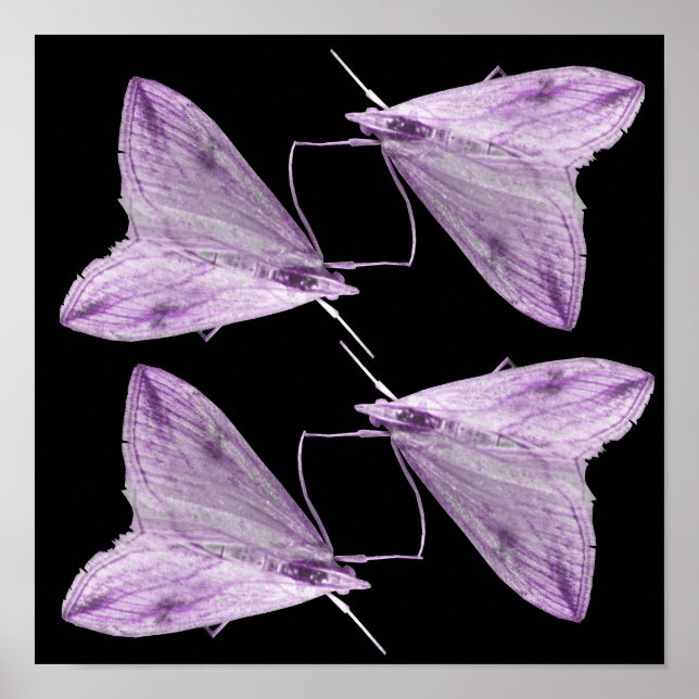 Impressão de Arte de Mariposa Roxa (Frente)