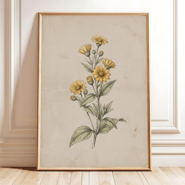 Impressão de Arte de Parede de Flor de Melampodium (Criador carregado)