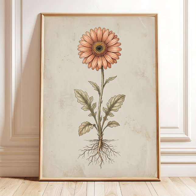 Impressão de Arte de Parede de Gerbera Margarida V (Criador carregado)
