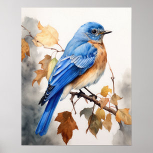 Impressão de Arte de Pássaro Bluebird