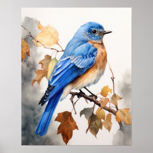 Impressão de Arte de Pássaro Bluebird (Frente)