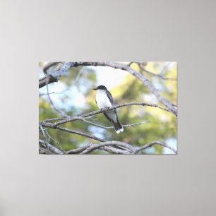 Impressão de Arte de Pássaro Canvas