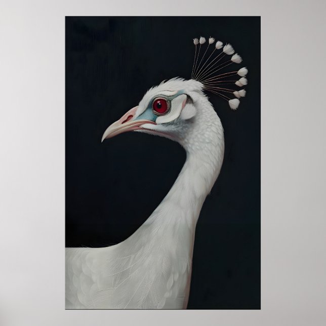 Impressão de Arte de Pavão Branco, Retrato de Ave  (Frente)