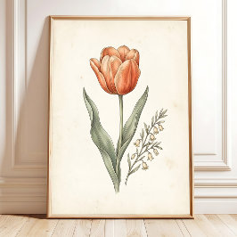 Impressão de Arte de Tulipa Botânica Vintage