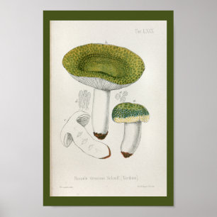Impressão de Arte do Boné Verde de Cogumelos Vin