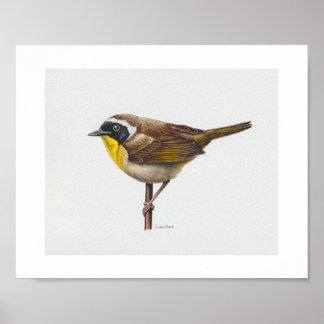 Impressão de Arte do Warbler no Yellowthroat
