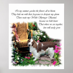 Impressão de Arte do Welsh Springer Spaniel