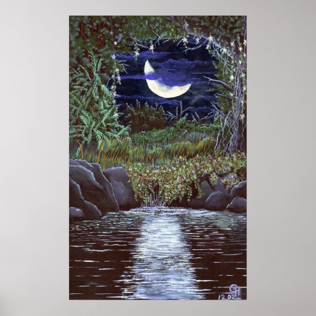 Impressão de Arte em Acrílico Moonlight Falls (Frente)