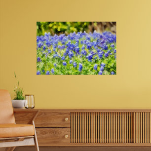 Impressão de Arte em Aquarela de Bluebonnets do Te