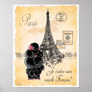 Impressão de Arte em Paris, Torre Eiffel, Torre N